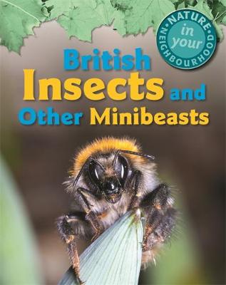 Book cover for British Insects and other Minibeasts