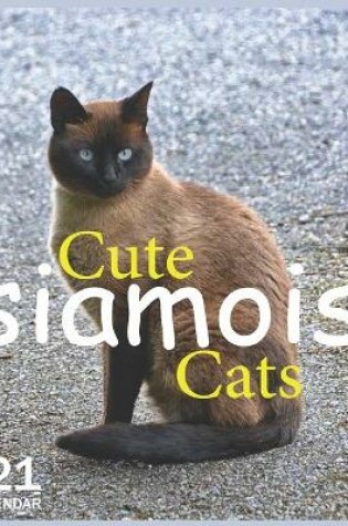Cover of Cute siamois Cats