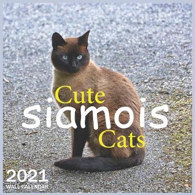 Book cover for Cute siamois Cats