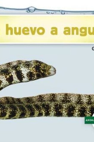 Cover of de Huevo a Anguila (Becoming an Eel)