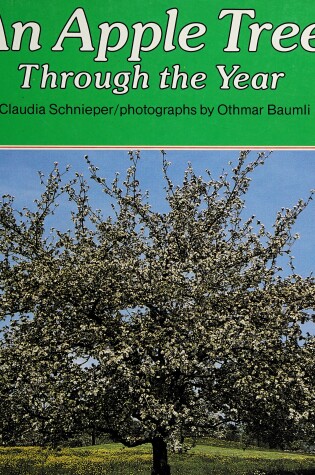 Cover of An Apple Tree Through the Year