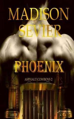 Book cover for Phoenix