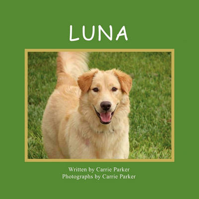 Book cover for Luna