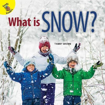 Book cover for What Is Snow?