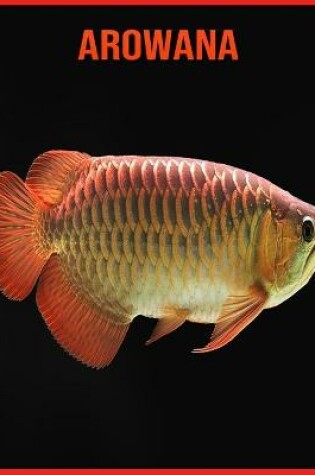 Cover of Arowana