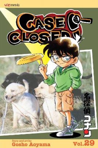 Cover of Case Closed, Vol. 29