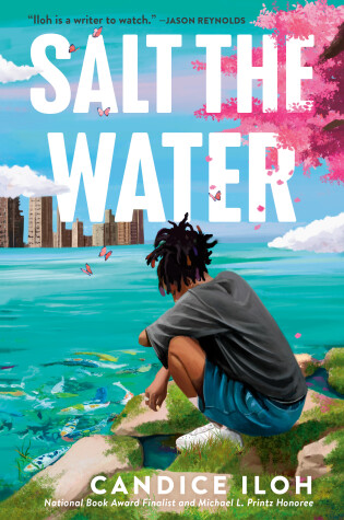 Cover of Salt the Water