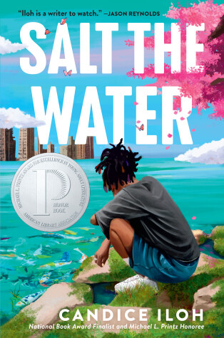 Book cover for Salt the Water
