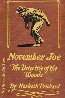 Book cover for November Joe