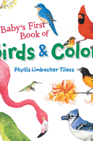 Cover of Baby's First Book of Birds & Colors