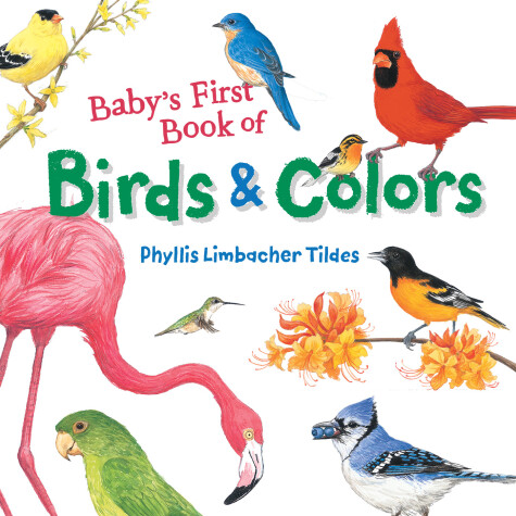 Book cover for Baby's First Book of Birds & Colors