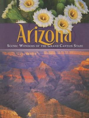 Book cover for Arizona