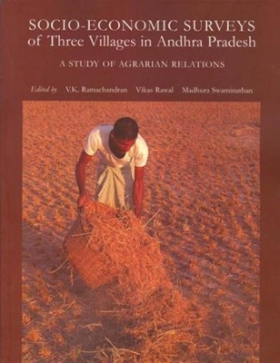 Book cover for Socio-Economic Surveys of Three Villages in Andhra Pradesh