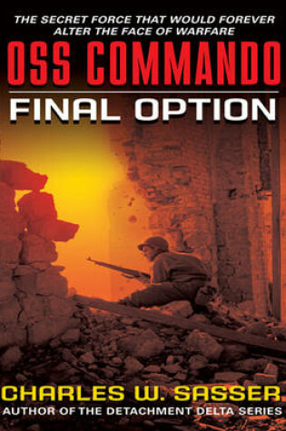 Cover of OSS Commando: Final Option