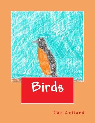 Book cover for Birds