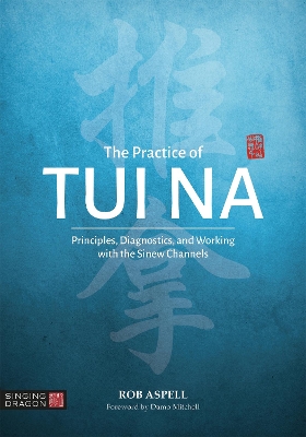 Book cover for The Practice of Tui Na