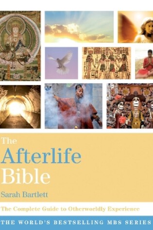 Cover of The Afterlife Bible