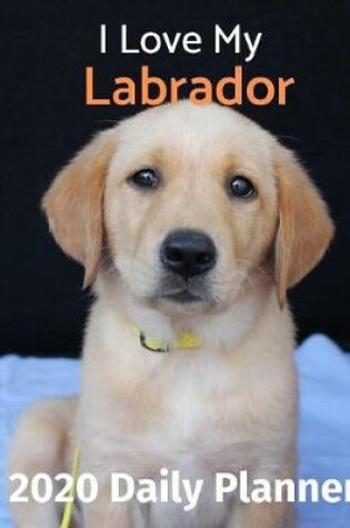 Cover of I Love My Labrador