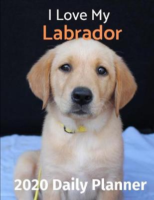 Book cover for I Love My Labrador