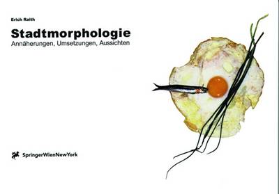 Book cover for Stadtmorphologie