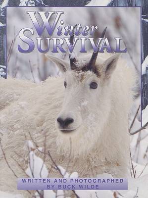 Book cover for Winter Survival (Rap Sml Bk USA)
