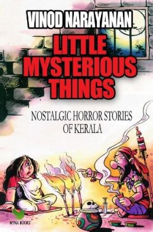 Cover of Little Mysterious Things