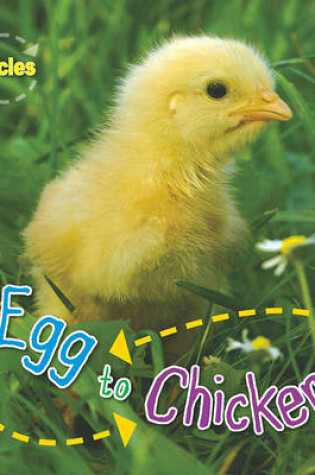 Cover of Lifecycles: Egg to Chicken