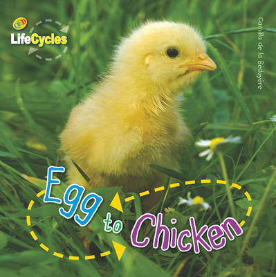 Book cover for Lifecycles: Egg to Chicken