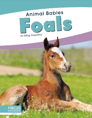 Book cover for Foals