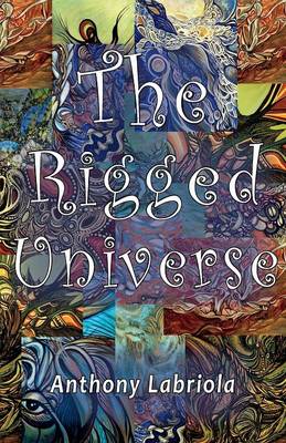Book cover for The Rigged Universe