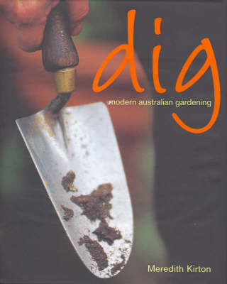 Book cover for Dig