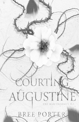 Book cover for Courting Augustine
