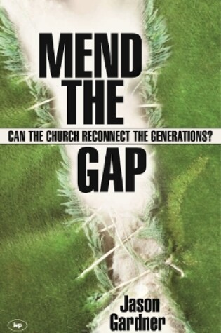 Cover of Mend the gap