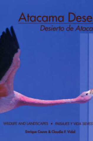 Cover of Atacama Desert / Desierto De Atacama