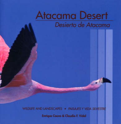 Book cover for Atacama Desert / Desierto De Atacama