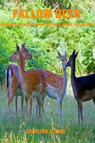 Cover of Fallow Deer