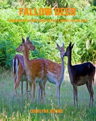 Book cover for Fallow Deer