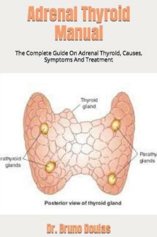 Cover of Adrenal Thyroid Manual