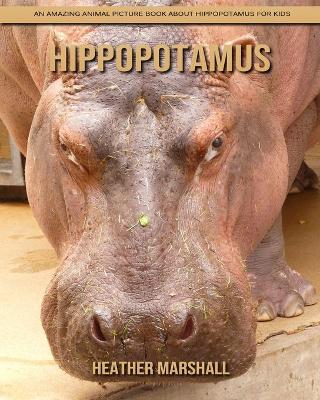 Book cover for Hippopotamus
