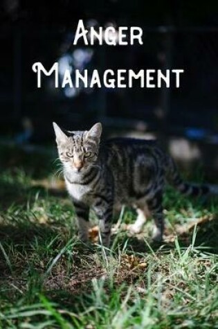 Cover of Anger Management