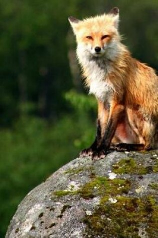 Cover of Journal Red Fox Sitting On Rock