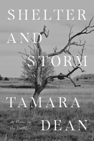 Cover of Shelter and Storm