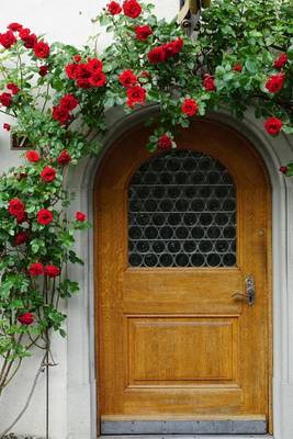 Book cover for Red Climbing Roses over the Front Door Journal