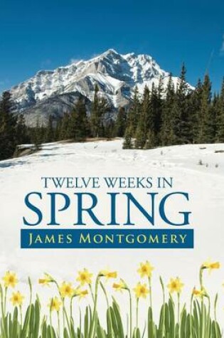 Cover of Twelve Weeks in Spring