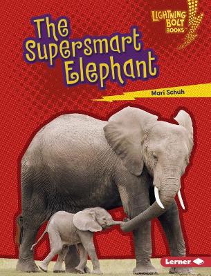 Book cover for The Supersmart Elephant