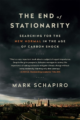 Book cover for The End of Stationarity