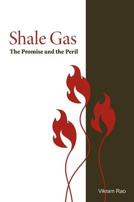 Book cover for Shale Gas