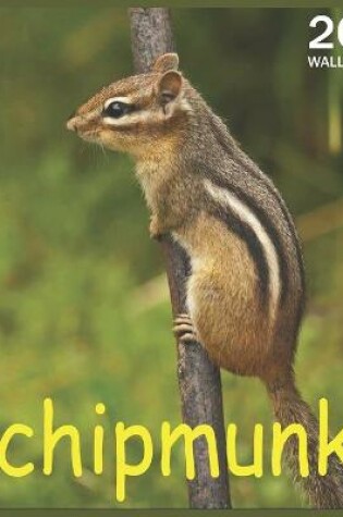 Cover of chipmunk
