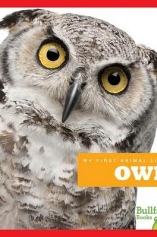 Cover of Owls