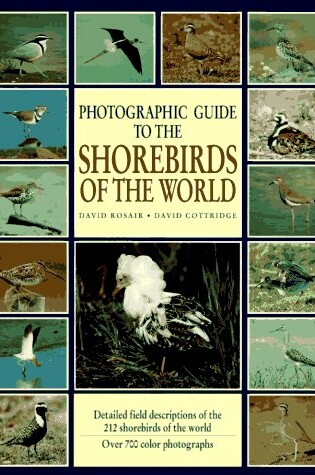 Cover of Photographic Guide to the Shorebirds of the World